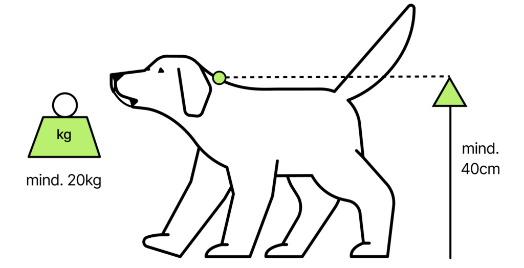 Darstellung eines Hundes mit 40cm Widerristhöhe und 20kg Gewicht als Veranschaulichung der 40/20 Regelung